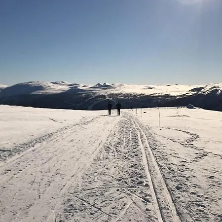 Uvdal - In-ski Out * Sonstebo
